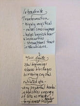 nickel silver dill weed set - sunroot studio