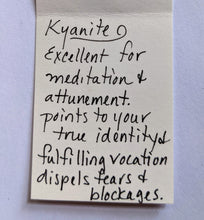 tree & kyanite necklace