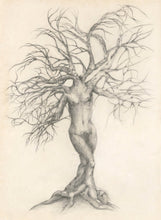 woman in tree -