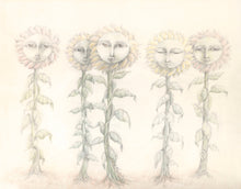 sunflower ladies 1 - sunroot studio
