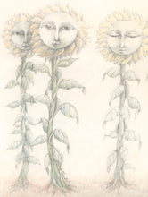 sunflower ladies 1 - sunroot studio