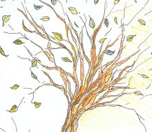tree and roots (growth process) - sunroot studio