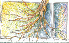 tree and roots (growth process) - sunroot studio