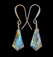 bird & labradorite set