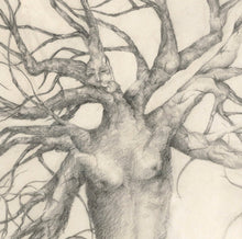 woman in tree -