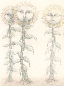 Sunflower Ladies 1 - Sunroot Studio